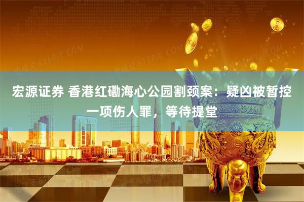 宏源证券 香港红磡海心公园割颈案：疑凶被暂控一项伤人罪，等待提堂