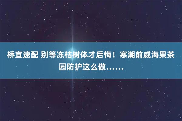 桥宜速配 别等冻枯树体才后悔！寒潮前威海果茶园防护这么做……